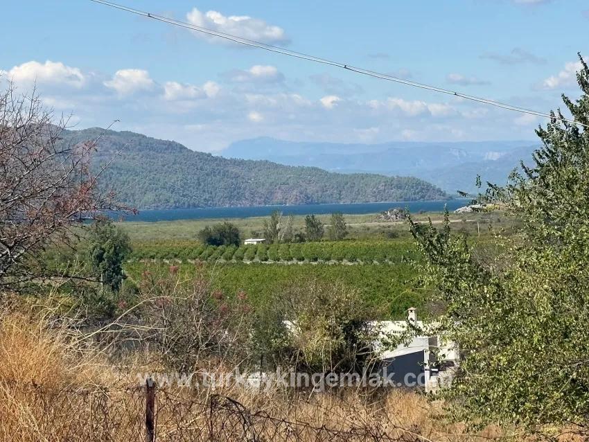 Feld Zu verkaufen in Dalyan Bz. Ortaca - Feld-Zonierung - 5.000 m²