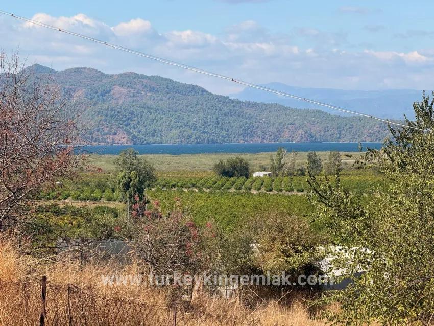 Feld Zu verkaufen in Dalyan Bz. Ortaca - Feld-Zonierung - 5.000 m²