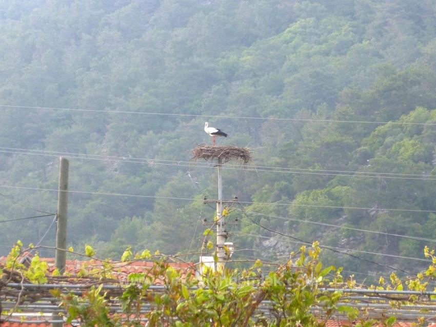 Villa Delight – Freistehende Villa In Dalyan, Maraş