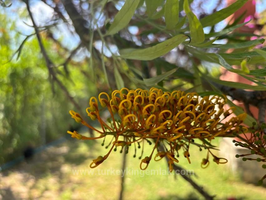 Luxuriöse Naturvilla Auf Einem 6.000 M² Großen Privatgrundstück