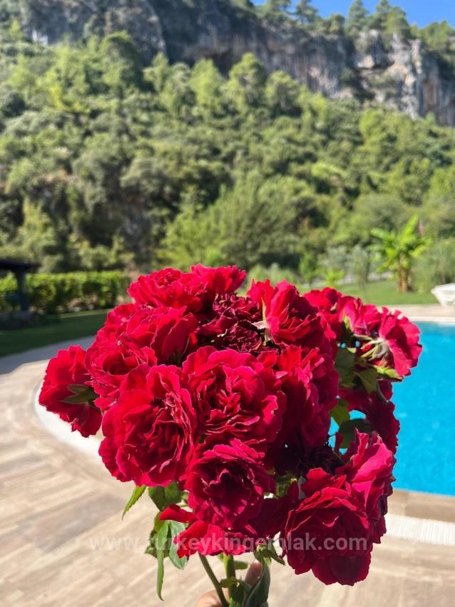 Duplex-Villa Zum Verkauf In Dalyan Okçular *Preis Reduziert*