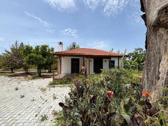 Freistehendes Haus Zur Miete In Dalyan Eskiköy.
