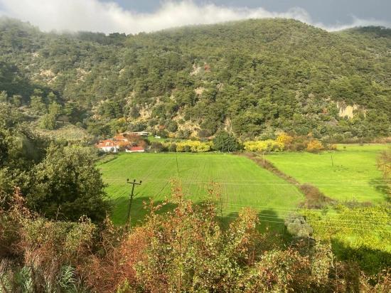 Ackerland Zum Verkauf Im Dorf Çandır, Gegenüber Von Dalyan.