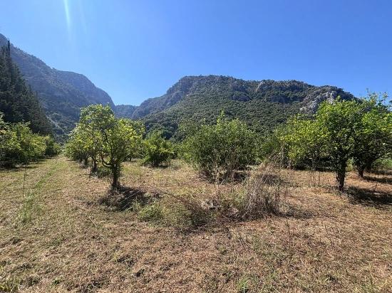 Triplex-villa In Okçular Marmarlı, Dalyan, Umgeben Von Natur