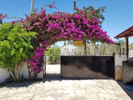 Ein Charmantes, Freistehendes Bungalow Mit Investitionspotenzial In Der Gegend Von Dalyan