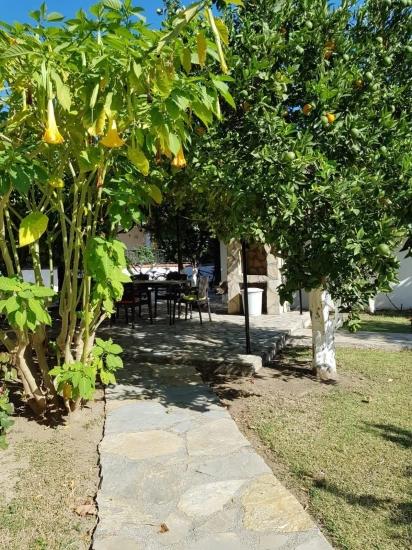 Freistehendes Bungalow Mit Investitionspotenzial In Der Gegend Von Dalyan