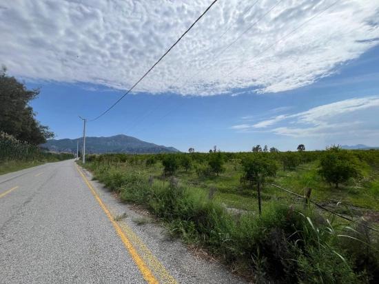 Granatapfelgarten Zum Verkauf An Der Straße Dalyan – İztuzu