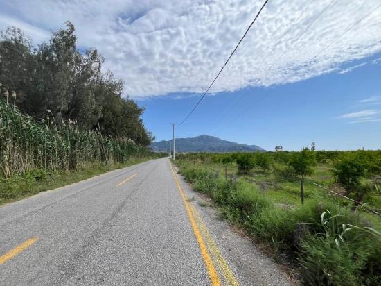 Granatapfelgarten Zum Verkauf An Der Straße Dalyan – İztuzu