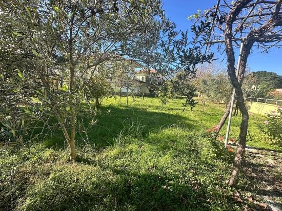 Haus Zum Verkauf In Dalyan Gülpınar Auf Einem 1000 M2 Großen Grundstück.