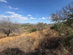 Feld Zu verkaufen in Dalyan Bz. Ortaca - Feld-Zonierung - 5.000 m²