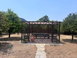 Traditionelles Türkisches Haus Mit Großem Grundstück