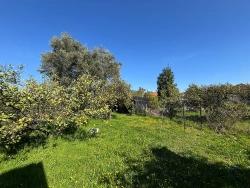 Privater Bungalow Zum Verkauf In Ortaca Okçular, Gelegen In Einem 459 M² Großen Garten!