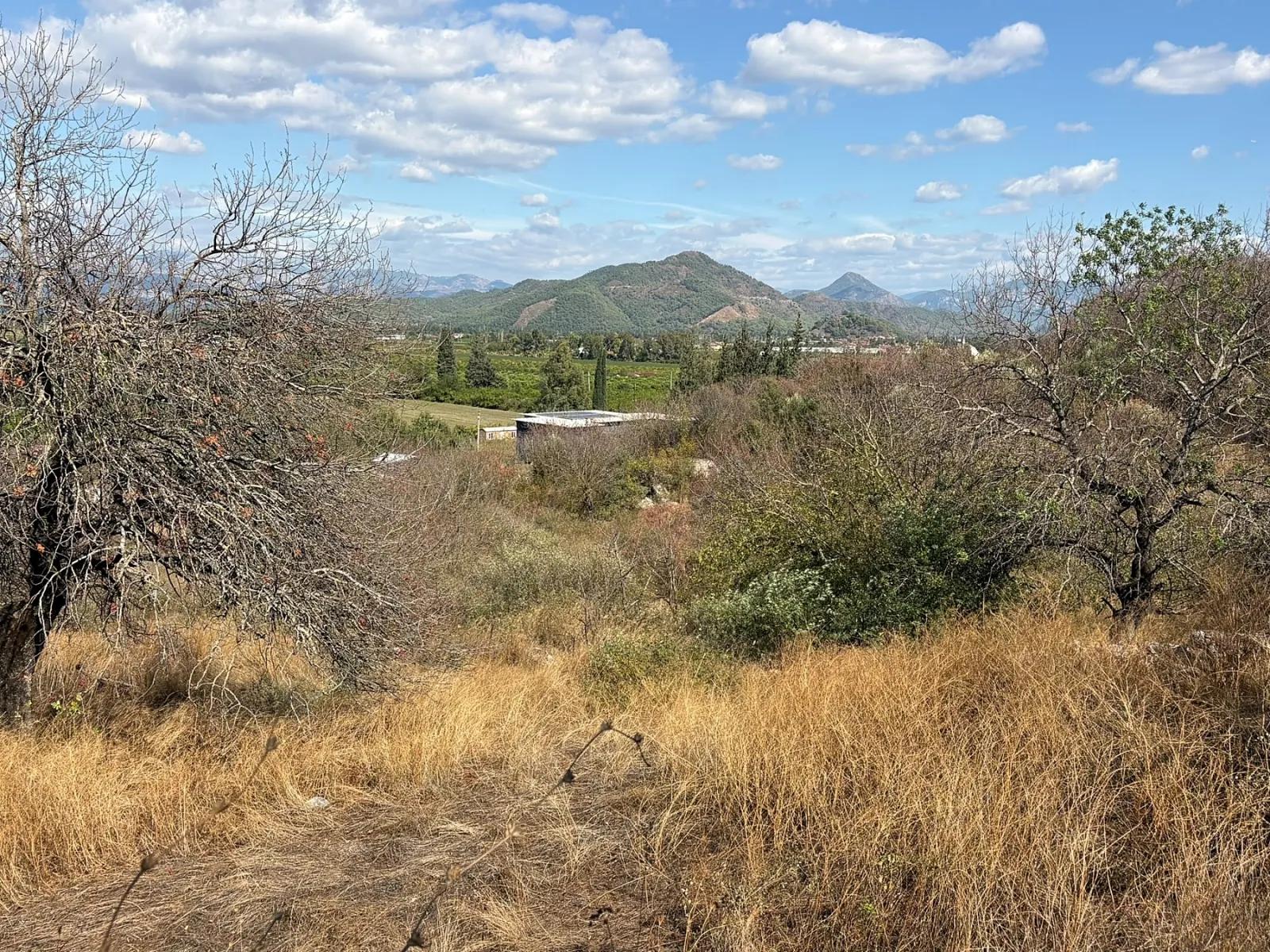 Room to Grow — 5,000 m² of Land In Karadağ