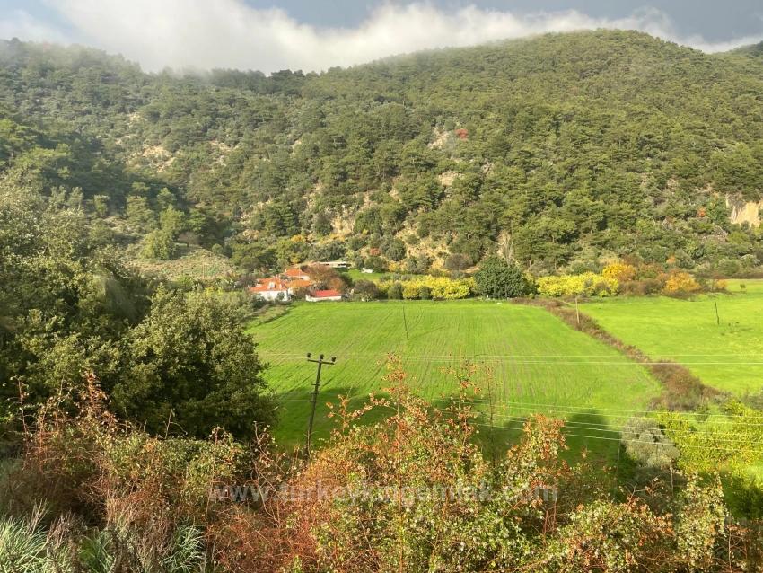 Farmland For Sale In Çandır Village, Opposite Dalyan.