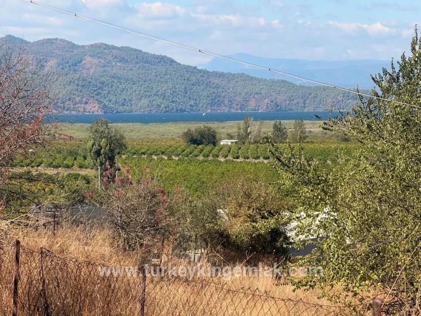 Field For sale in Dalyan Nbh. Ortaca - Field Zoned - 5.000 m²