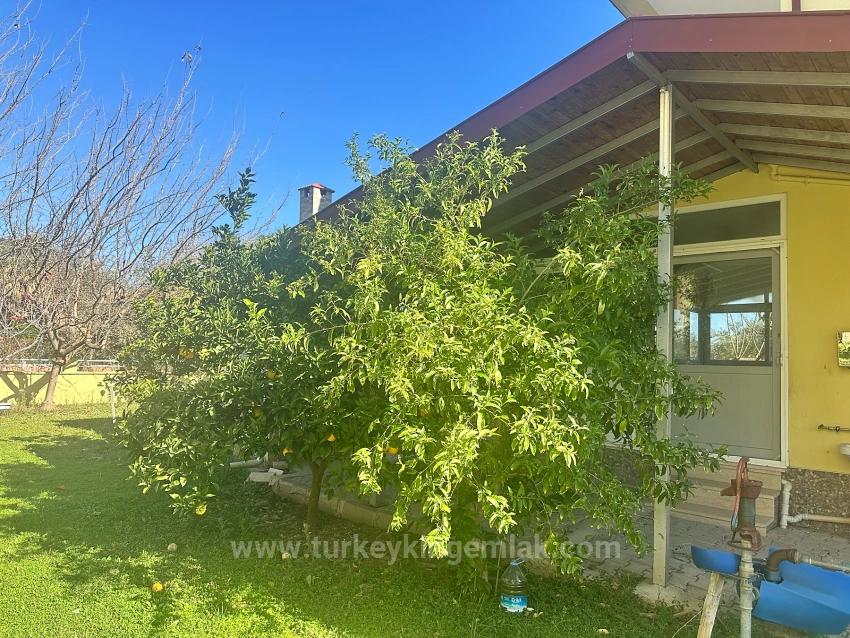 Great Opportunity For Dual Living – Unlimited Potential On A 1,000M² Plot