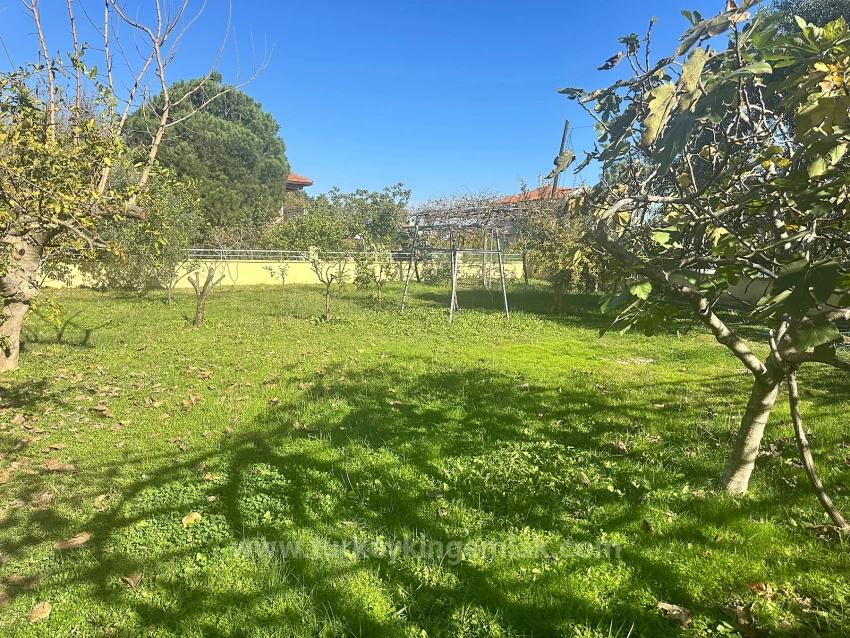 Great Opportunity For Dual Living – Unlimited Potential On A 1,000M² Plot