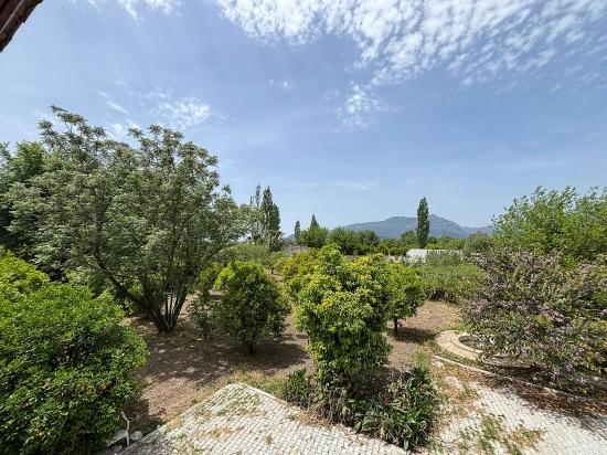 House For Rent In Dalyan Eskiköy