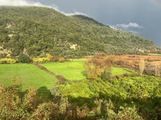 Farmland For Sale In Çandır Village, Opposite Dalyan.