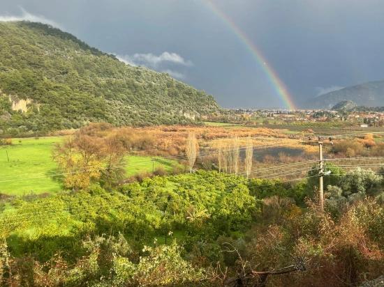Farmland For Sale In Çandır Village, Opposite Dalyan.