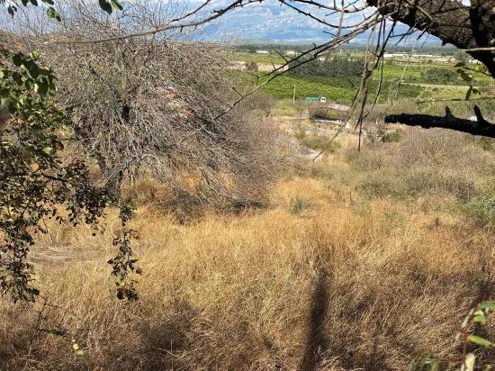 Room to Grow — 5,000 m² of Land In Karadağ