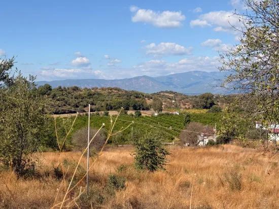 Room to Grow — 5,000 m² of Land In Karadağ