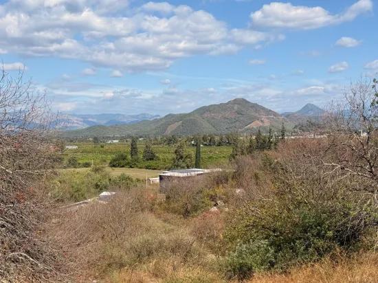 Room to Grow — 5,000 m² of Land In Karadağ