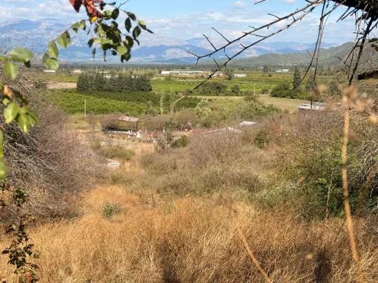 Room to Grow — 5,000 m² of Land In Karadağ