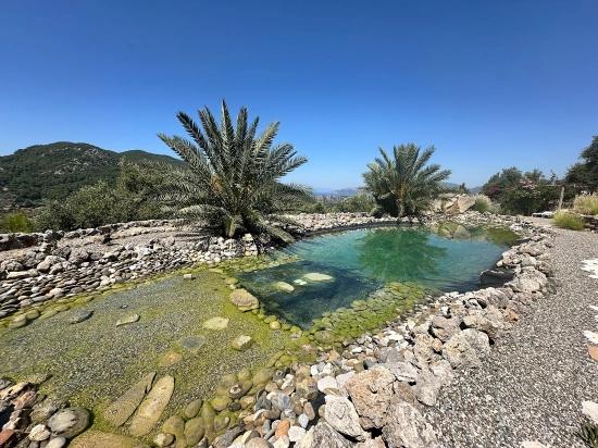 Luxury 7-Bedroom Mansion With Unparalleled Sea Views In Gökbel