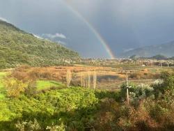 Terrain For Sale in Çandır Nbh. Köyceğiz - Field Zoned - 35.000 m²