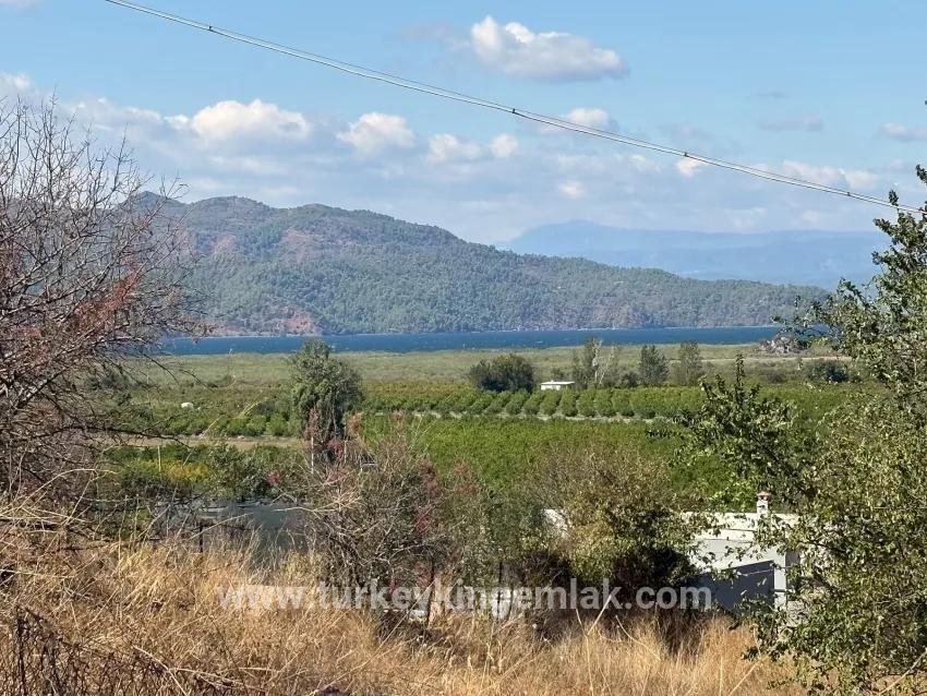 Для продажи Поле в Dalyan Ortaca - Под Поле застройку - 5.000 m²