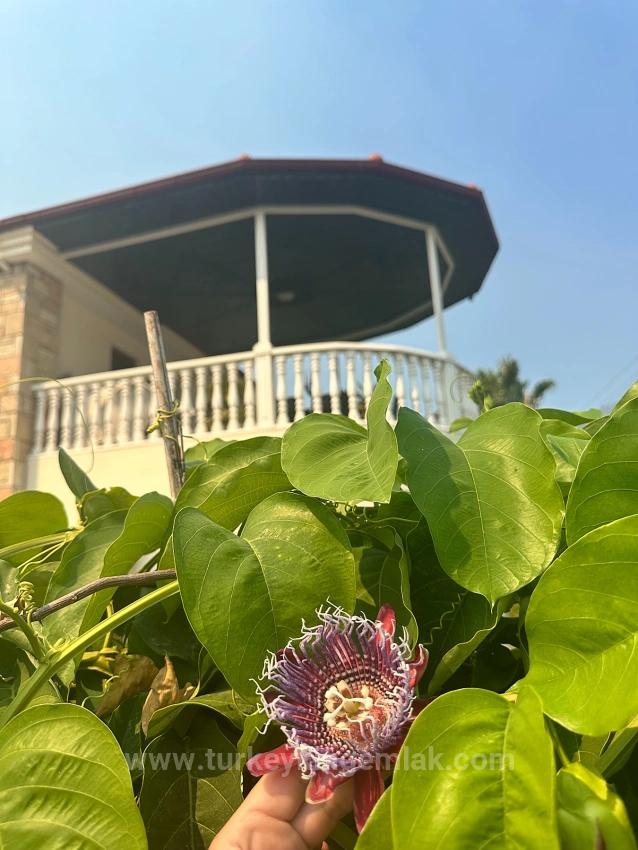 Скрытая Жемчужина В Районе Мараш В Дальяне