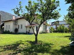 Спокойная Жизнь Среди Шепота Гор