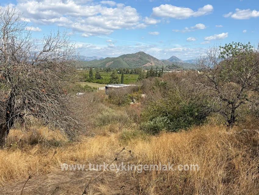 Ortaca Dalyan Mah. Satılık Tarla - Tarla İmar Durumlu - 5.000 m²