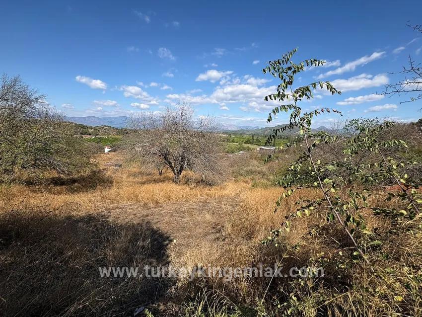 Ortaca Dalyan Mah. Satılık Tarla - Tarla İmar Durumlu - 5.000 m²