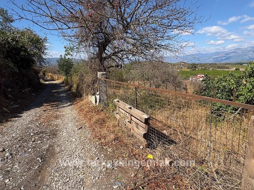 Ortaca Dalyan Mah. Satılık Tarla - Tarla İmar Durumlu - 5.000 m²