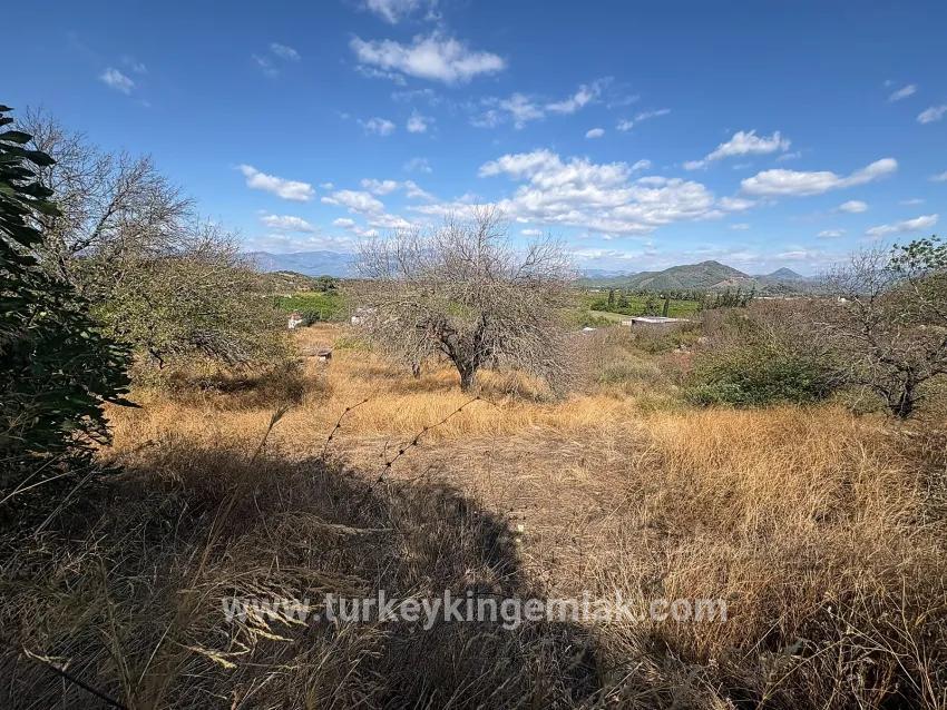 Ortaca Dalyan Mah. Satılık Tarla - Tarla İmar Durumlu - 5.000 m²