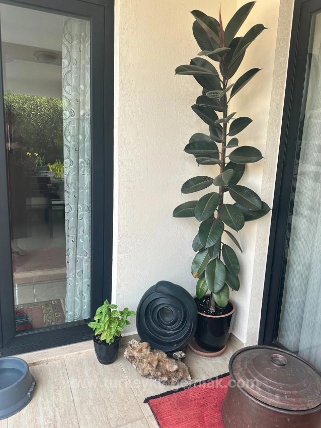 Dalyan’ın Maraş Mahallesinde Gizli Bir Mücevher