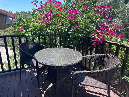 Dalyan Nehri Manzaralı Lüks Villa