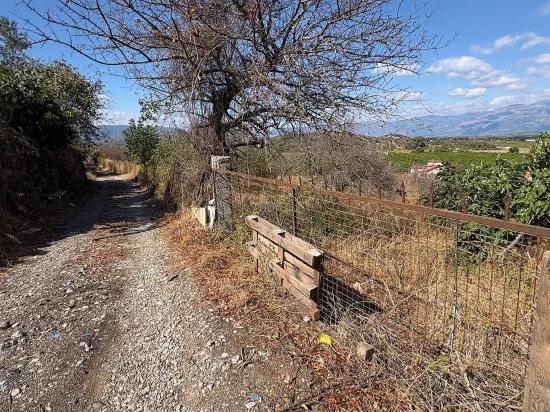 Karadağ’da Toprağa Değer Katan Bir Fırsat