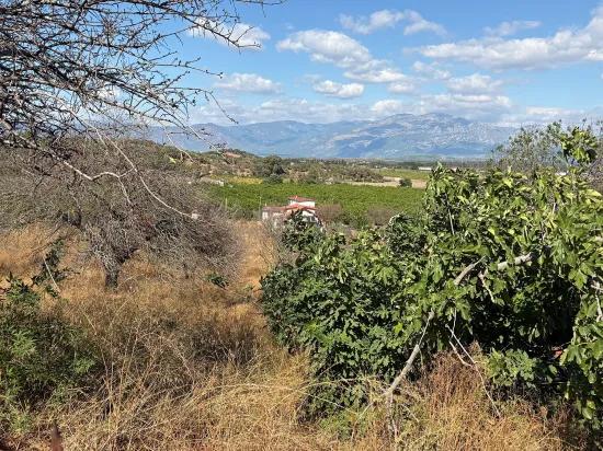 Karadağ’da Toprağa Değer Katan Bir Fırsat