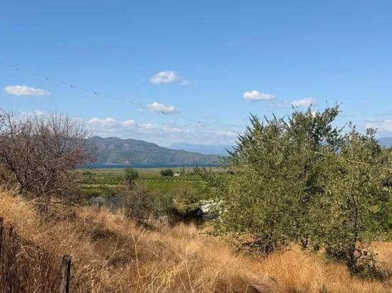 Karadağ’da Toprağa Değer Katan Bir Fırsat