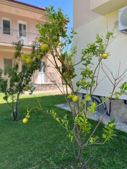 Dalyan Okçular Da Satılık Dubleks Villa *fiyat Düştü *