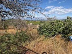 Ortaca Dalyan Mah. Satılık Tarla - Tarla İmar Durumlu - 5.000 m²