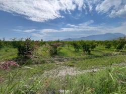 Ortaca Dalyan Mah. Satılık Tarla - Tarla İmar Durumlu - 14.000 m²