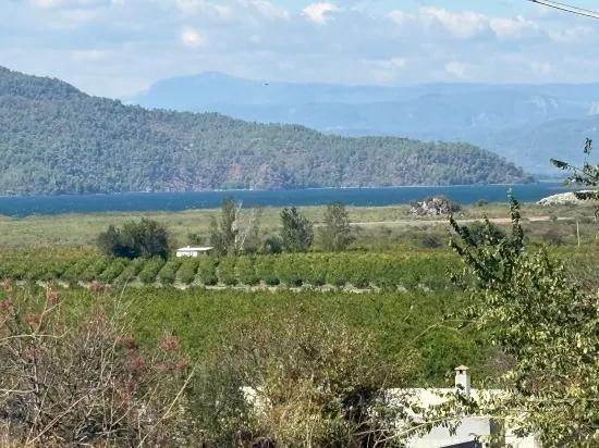 Karadağ’da Toprağa Değer Katan Bir Fırsat